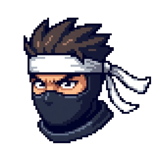 Raider